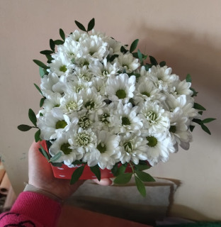 Композиция Пушистое сердце